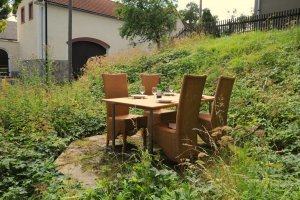 De tuin